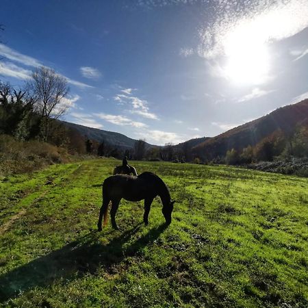 La Casella Antico Feudo Di Campagna Ficulle Zewnętrze zdjęcie