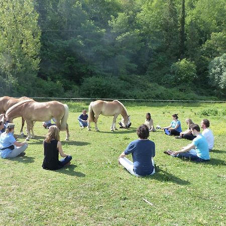 La Casella Antico Feudo Di Campagna Ficulle Zewnętrze zdjęcie