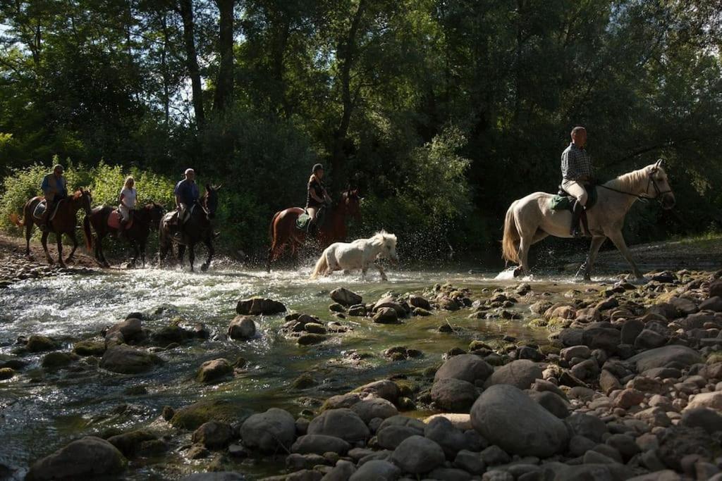 La Casella Antico Feudo Di Campagna Ficulle Zewnętrze zdjęcie