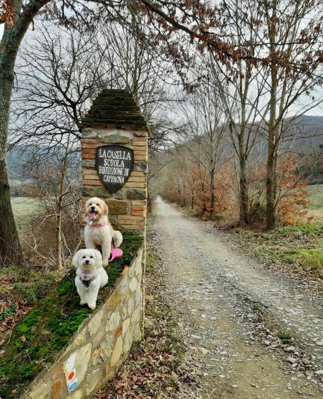 La Casella Antico Feudo Di Campagna Ficulle Zewnętrze zdjęcie