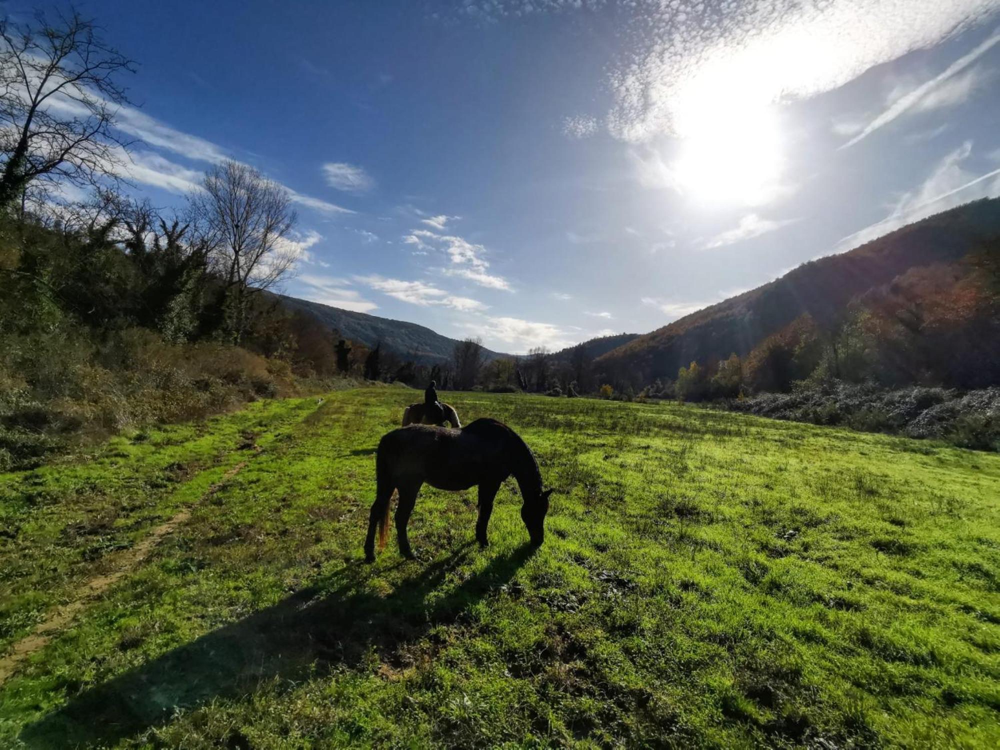 La Casella Antico Feudo Di Campagna Ficulle Zewnętrze zdjęcie
