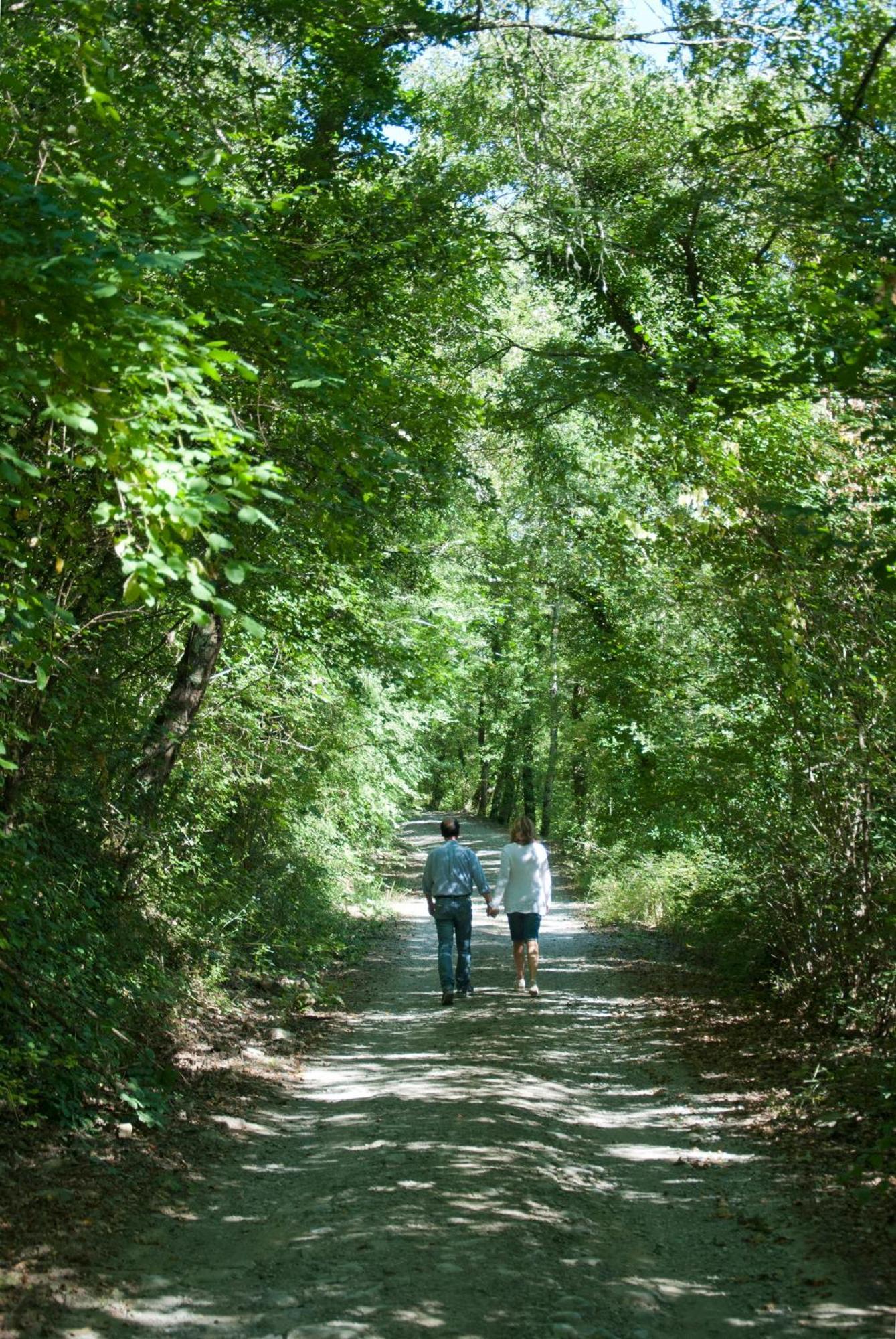 La Casella Antico Feudo Di Campagna Ficulle Zewnętrze zdjęcie