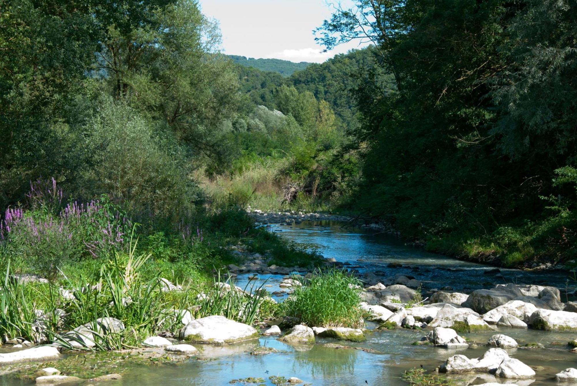 La Casella Antico Feudo Di Campagna Ficulle Zewnętrze zdjęcie