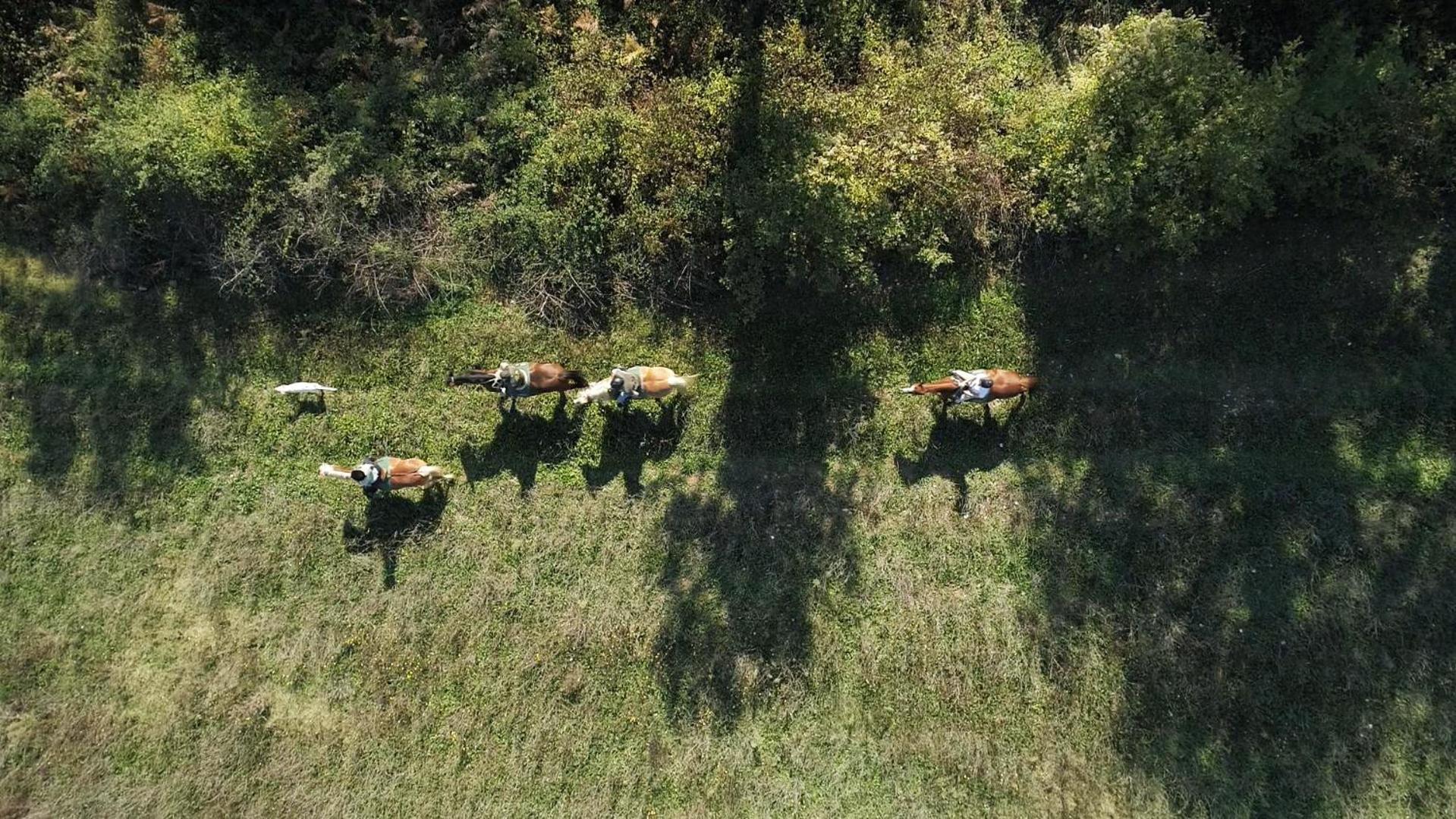 La Casella Antico Feudo Di Campagna Ficulle Zewnętrze zdjęcie