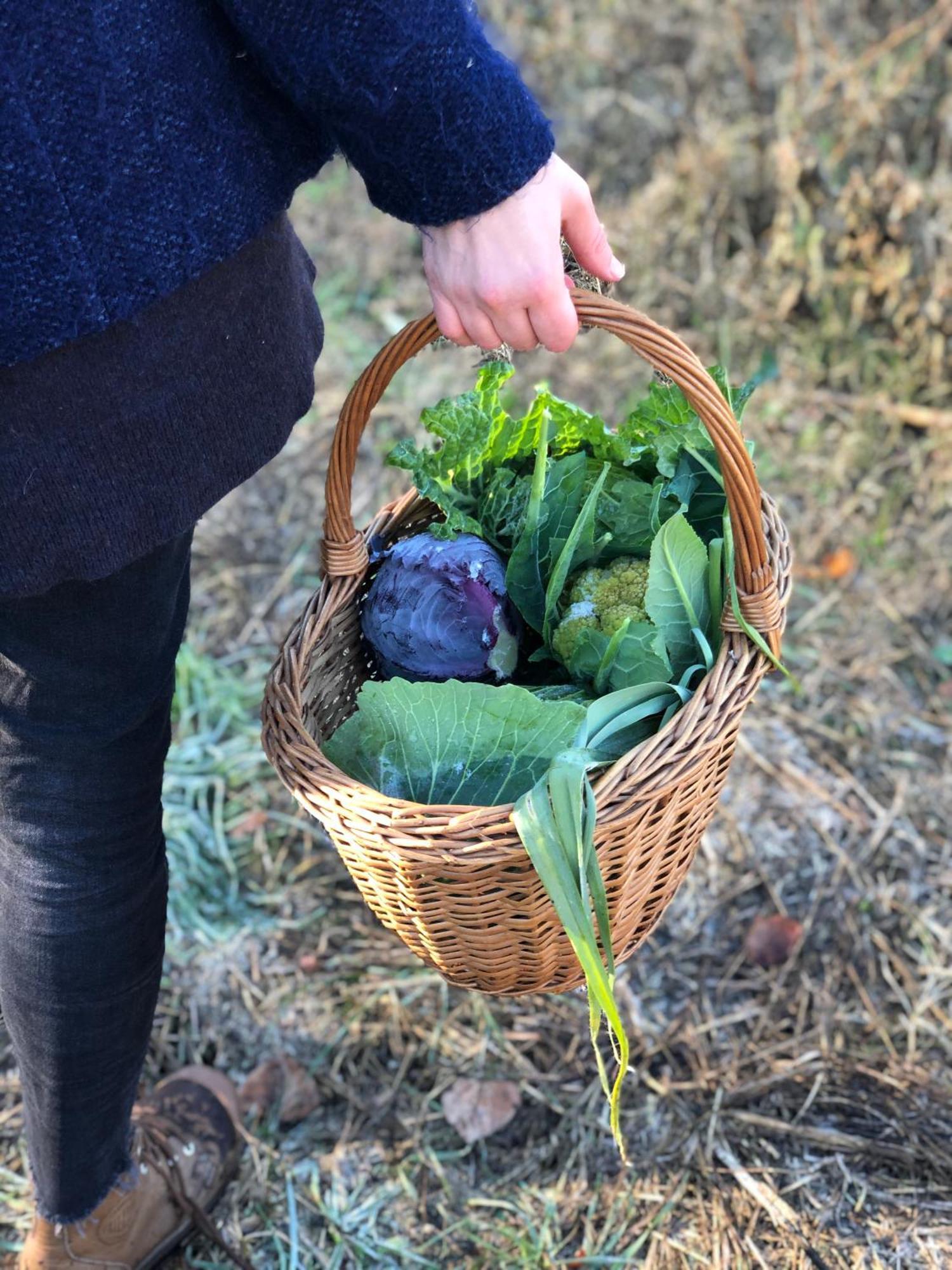 La Casella Antico Feudo Di Campagna Ficulle Zewnętrze zdjęcie