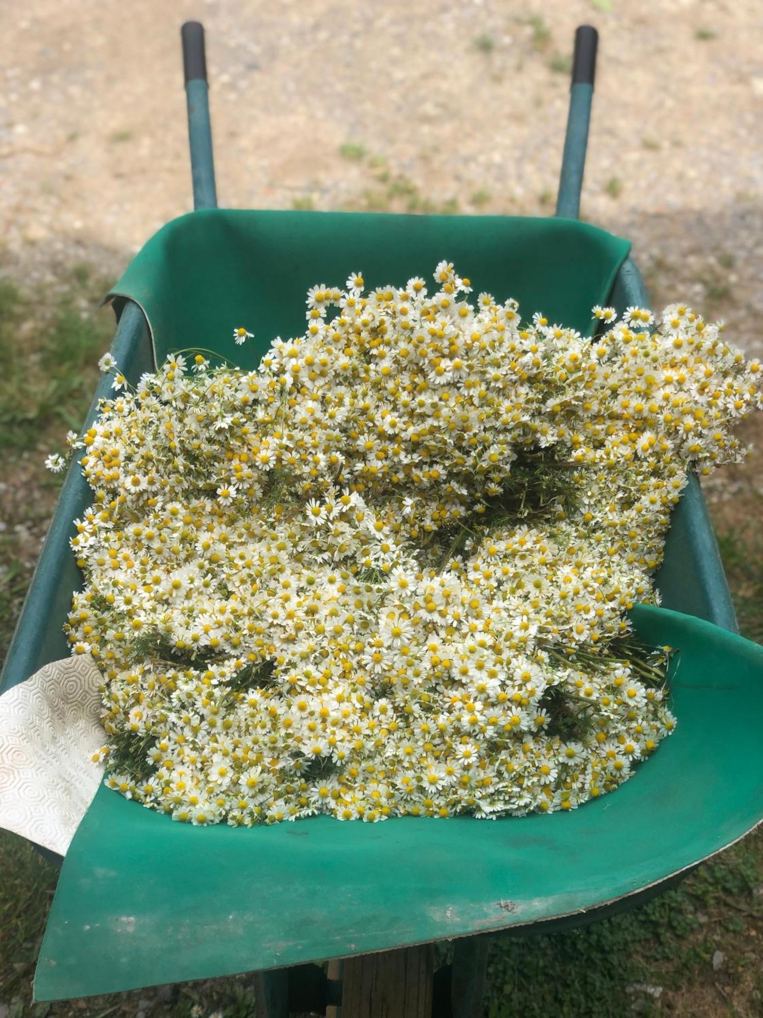 La Casella Antico Feudo Di Campagna Ficulle Zewnętrze zdjęcie