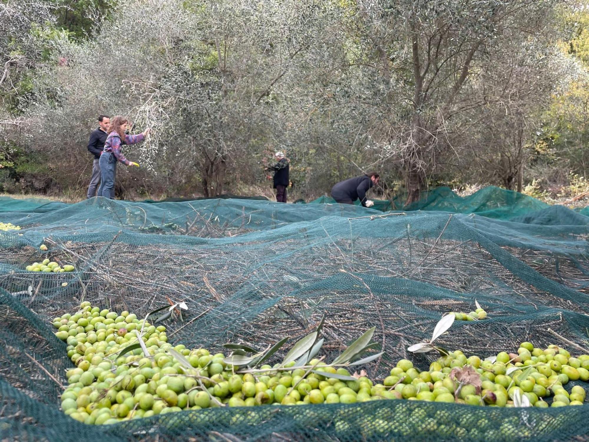 La Casella Antico Feudo Di Campagna Ficulle Zewnętrze zdjęcie