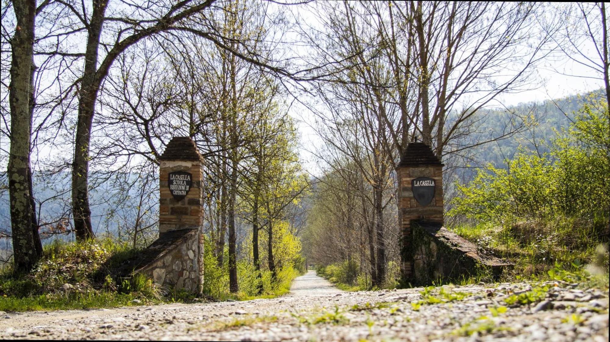 La Casella Antico Feudo Di Campagna Ficulle Zewnętrze zdjęcie
